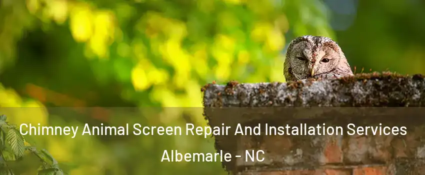  Chimney Animal Screen Repair And Installation Services Albemarle - NC