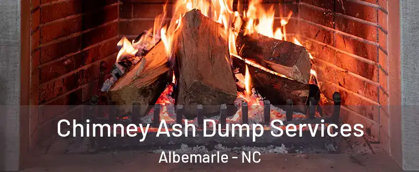  Chimney Ash Dump Services Albemarle - NC