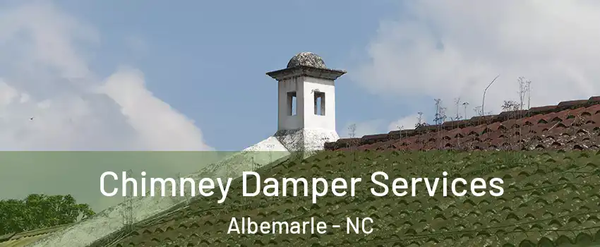  Chimney Damper Services Albemarle - NC