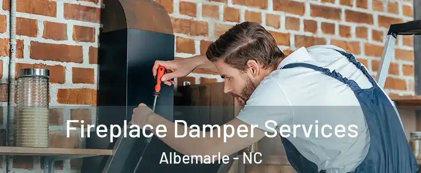  Fireplace Damper Services Albemarle - NC