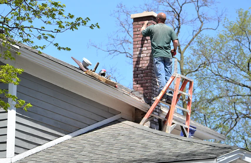 Chimney & Fireplace Inspections Services in Albemarle, NC