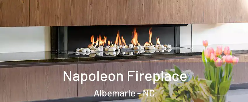 Napoleon Fireplace Albemarle - NC
